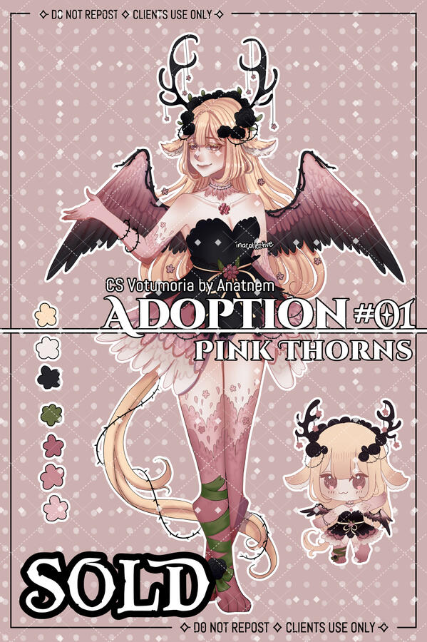 Alright test WHY WONT YOU SHOW